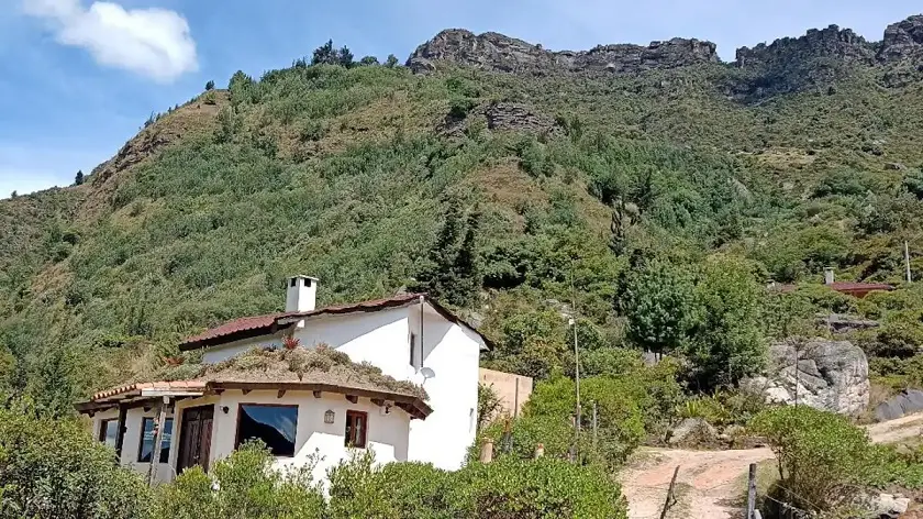 Airbnb Dia De La Mascota Jpg