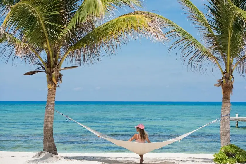 Medium Lady Hammock Palm Trees Jpg