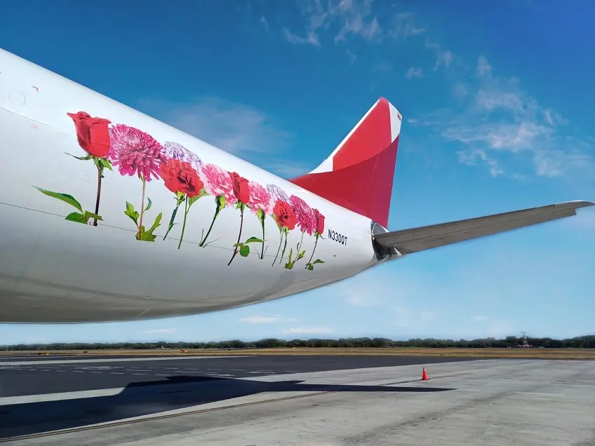 Avianca cargo lidera el transporte de flor desde Colombia hacia Estados Unidos