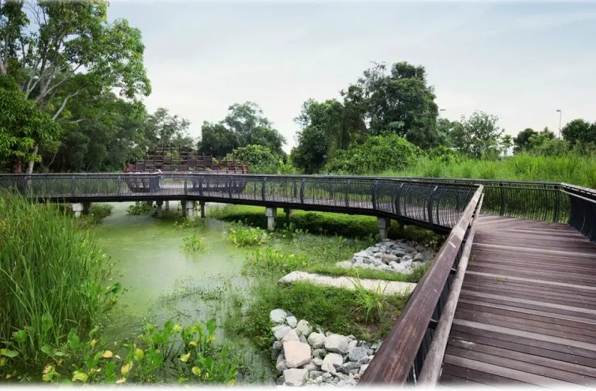 El sector turístico de Singapur registra una fuerte recuperación en 2023 y supera las previsiones de ingresos por turismo