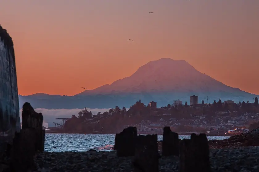 El nuevo itinerario de viaje de primavera del condado de Pierce es una bendición para el explorador Insta-Eager