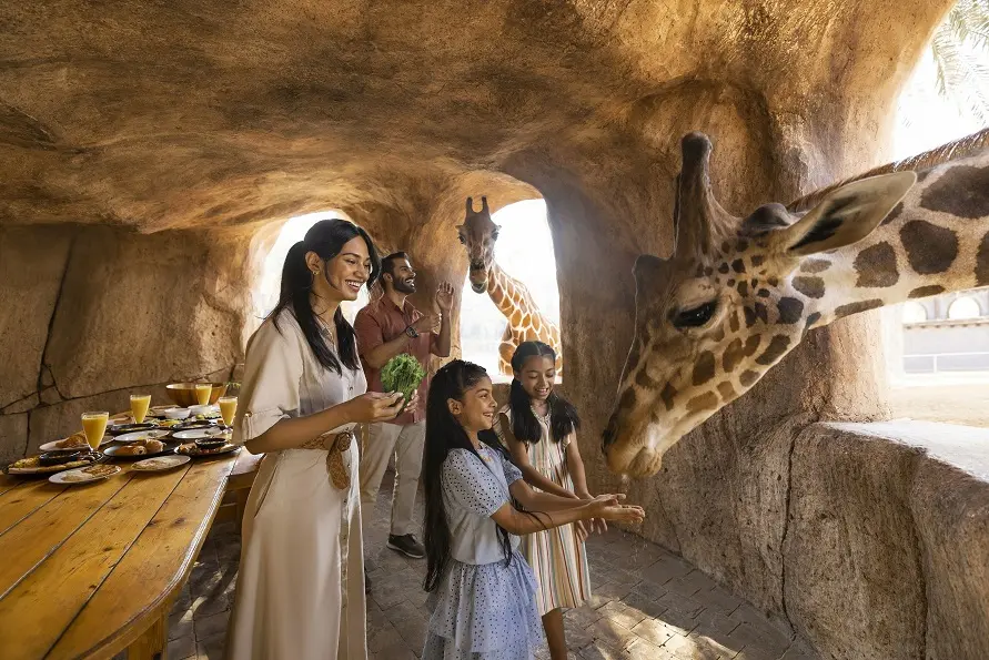 Estas son algunas de las 101 actividades que se pueden realizar en Abu Dabi este verano