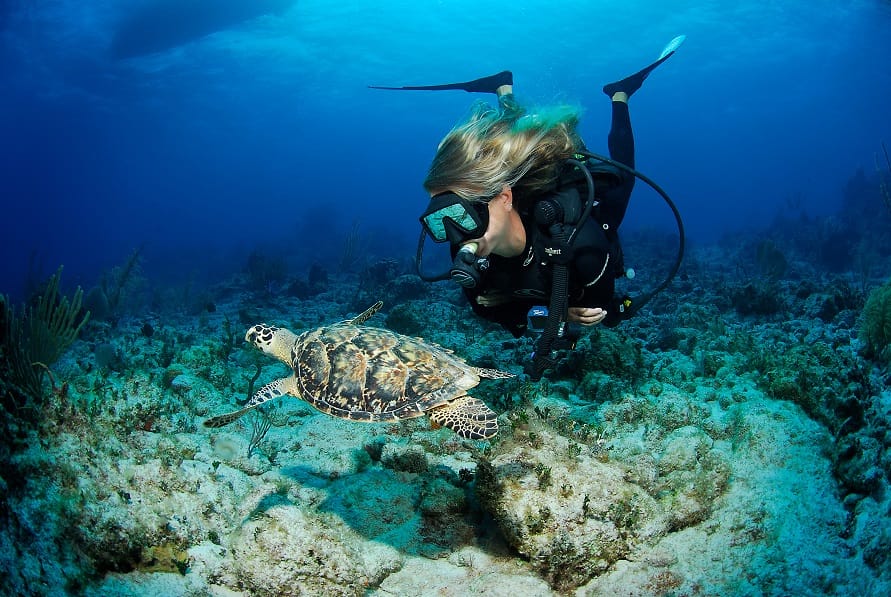 Buceo y Patrimonio: una mezcla que promete inmersiones inolvidables en las Islas Caimán
