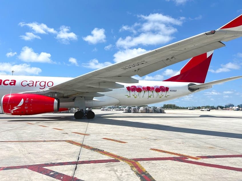 Avianca Cargo lleva a Estados Unidos más de 400 millones de tallos de flores para la celebración del Día de la Madre
