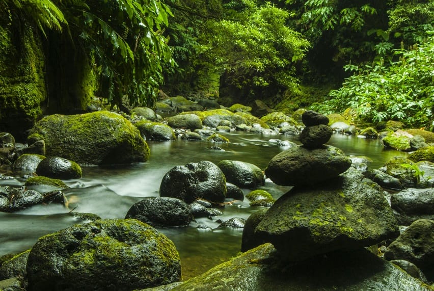 ¡Los colombianos buscan destinos con naturaleza! Aquí 5 de los parques naturales más hermosos de Colombia