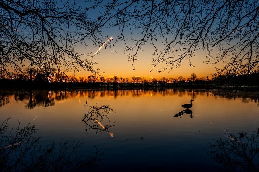 Escapada al lago: vive una aventura inolvidable con estas fascinantes estadías de Booking.com