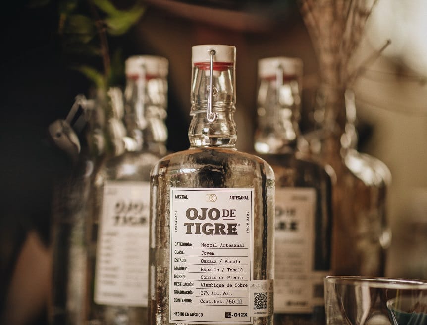 ¿Sabe cuál es el origen del mezcal? Conozca la historia, tradición y arte detrás de este destilado mexicano