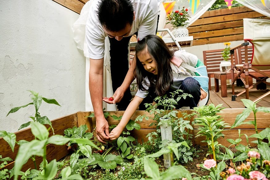 Airbnb y WWF Colombia apoyarán la restauración y conservación de 460 hectáreas en el corredor de Sierra Nevada y Perijá