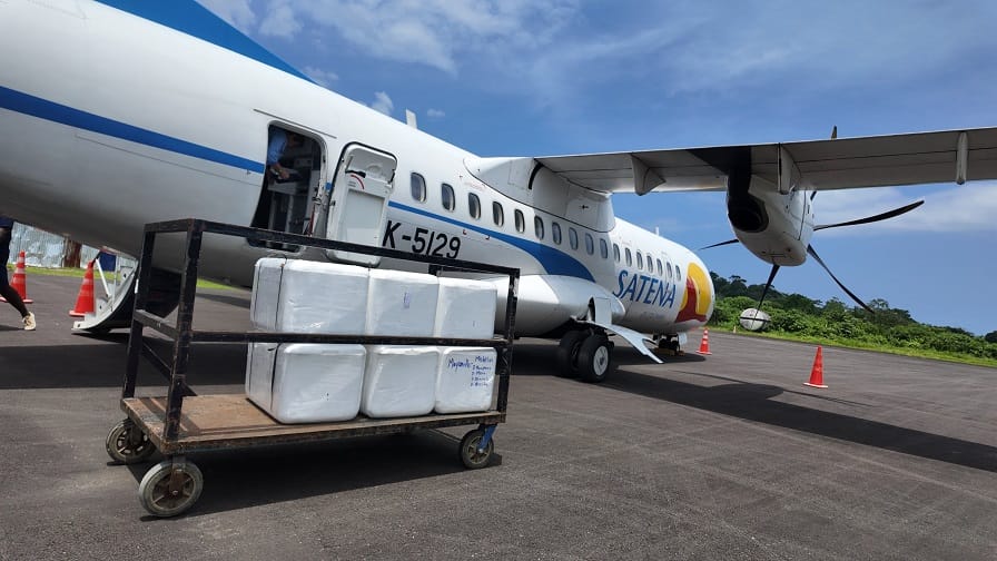 SATENA transporta hasta 500 kilos diarios de pescado fresco desde Bahía Solano, Tumaco, Guapi y Nuquí a Bogotá