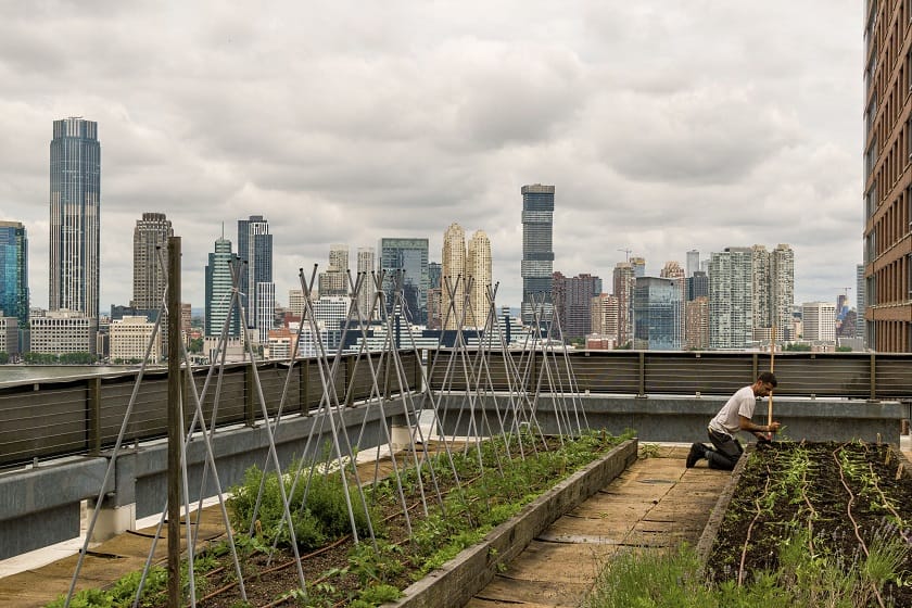 La cocina sustentable como motor de cambio en Hilton