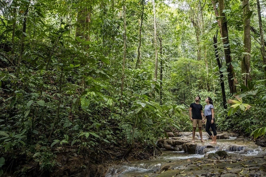 Costa Rica se posiciona como líder mundial en turismo sostenible y conservación ambiental
