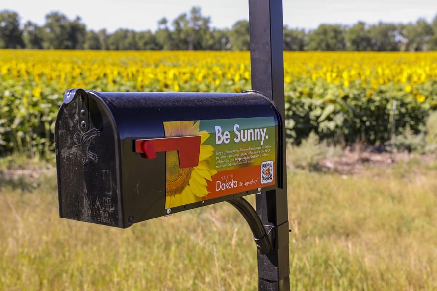 El mapa de girasoles de Dakota del Norte de 2025 ya está aquí
