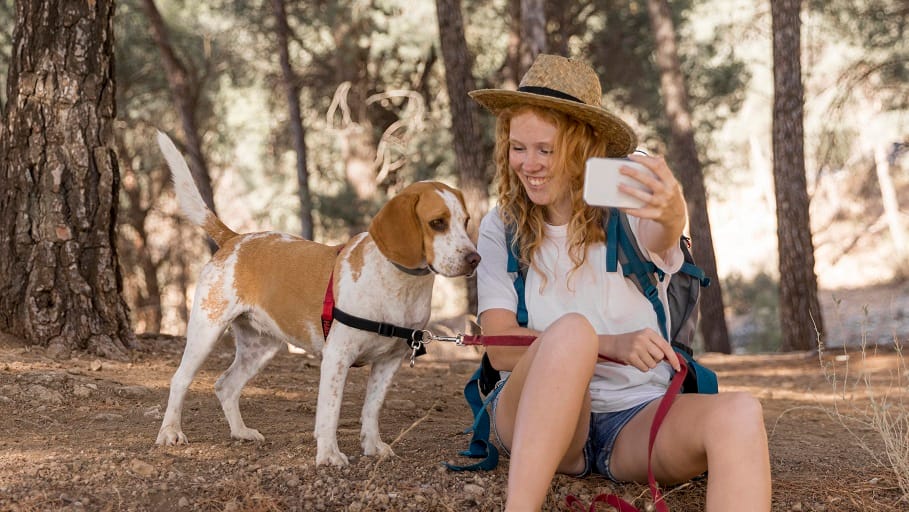Turismo pet-friendly: una tendencia en ascenso que transforma el mercado colombiano