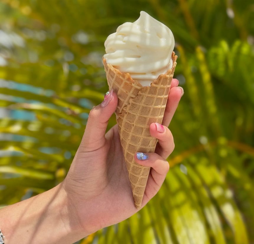 Jungle Island presenta “Sprinkles & Chill”: celebra la vuelta a clases este Día del Trabajo el sábado 30 de agosto