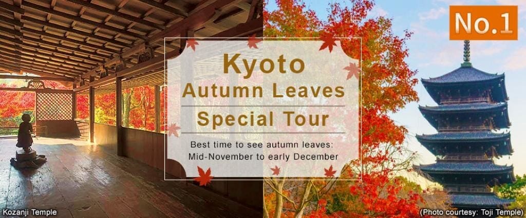 Experimente el impresionante otoño de Japón con follaje otoñal y aguas termales