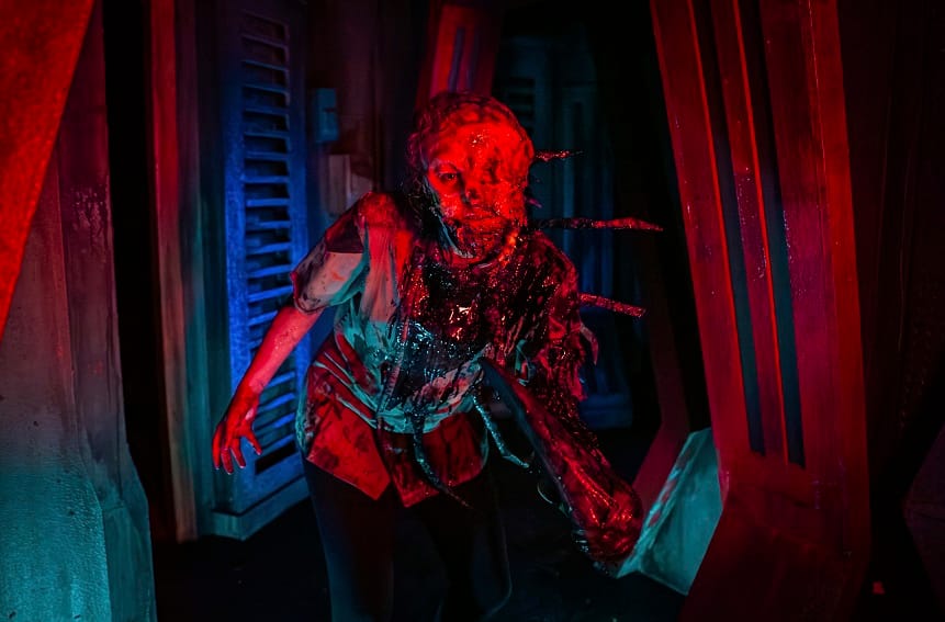 Evento de Halloween en Busch Gardens Tampa presenta novedades y más de 25 experiencias esta temporada