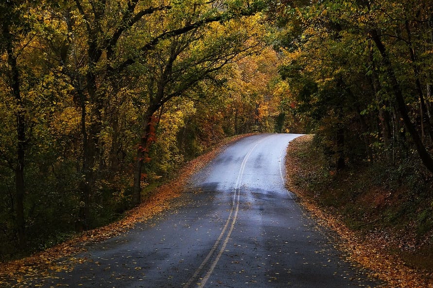 Las 10 mejores aventuras de otoño en el gran patio trasero de Nashville