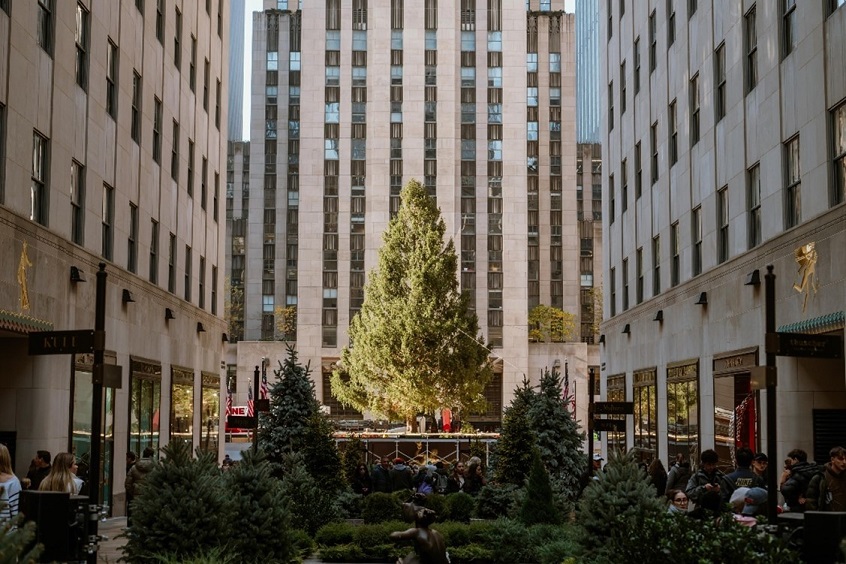 Comenzó la temporada navideña en el Rockefeller Center de Nueva York con la instalación del árbol de Navidad