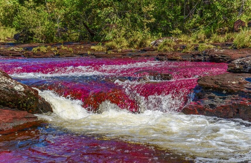 SATENA reabre la ruta aérea entre Bogotá y La Macarena para la temporada turística de Caño Cristales