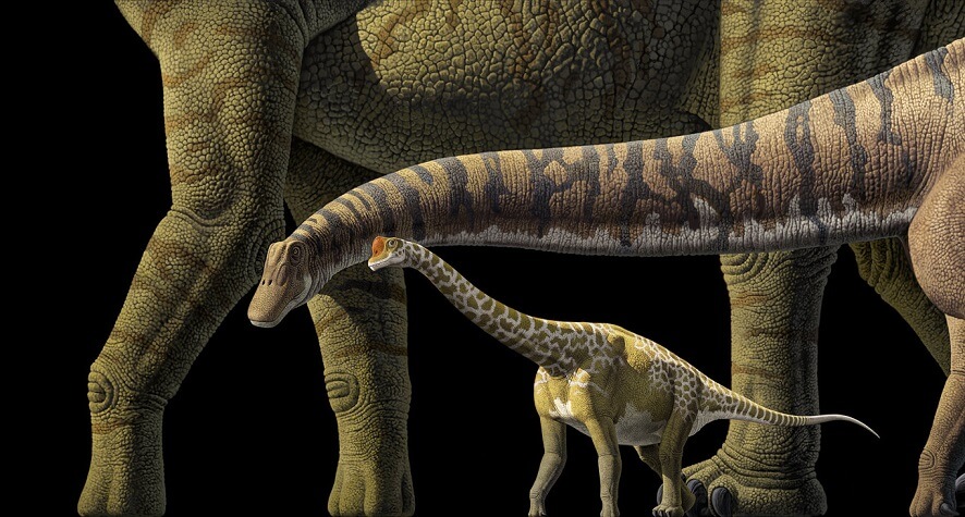 Los dinosaurios más grandes del mundo llegan a Denver