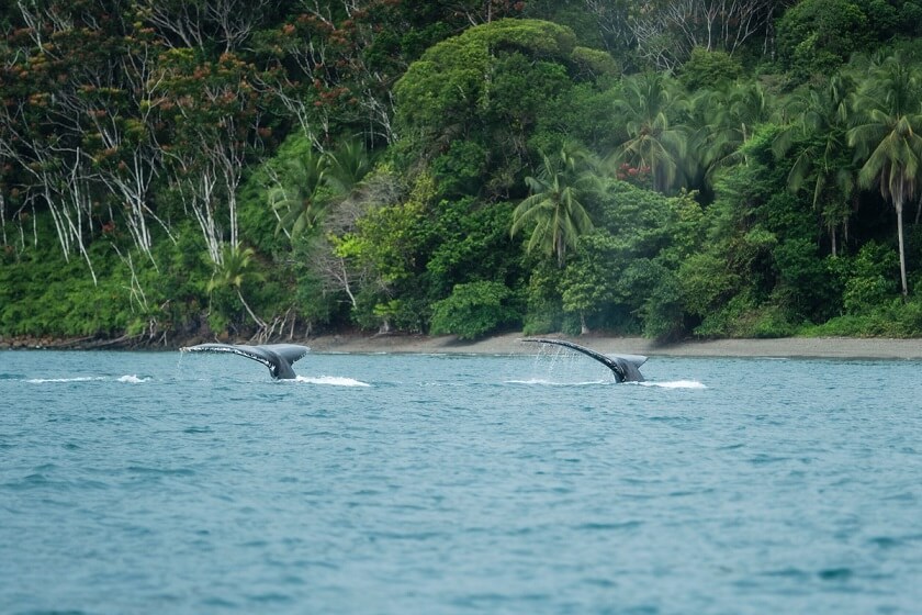 Destinos de naturaleza 2026: viajes que dejan sin aliento