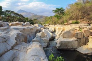 Festival Vallenato 2026: crecen 55% las búsquedas a Valledupar impulsadas por el evento