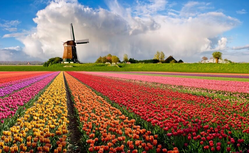 Primavera en los Países Bajos: cuatro experiencias imperdibles para descubrir con KLM Primavera en los Países Bajos: cuatro experiencias imperdibles para descubrir con KLM