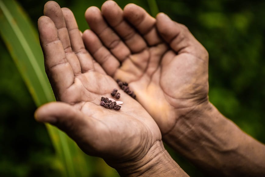 El turismo también puede proteger la biodiversidad: así busca Decameron conectar turistas con los ecosistemas El turismo también puede proteger la biodiversidad: así busca Decameron conectar turistas con los ecosistemas