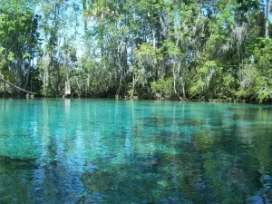 Caimanes, kayaks transparentes y tirolesa: así se conoce Orlando sin pisar un parque temático