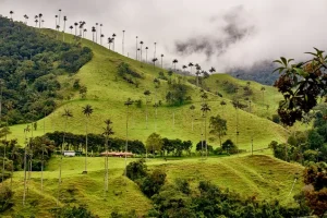 Paquetes de viaje en Colombia buscan dinamizar el turismo en las zonas del Eje Cafetero, Valle y Chocó
