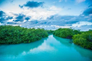 Maya Ka'an qué hacer en el destino de National Geographic