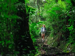 Precio, seguridad y experiencias: lo que de verdad pesa cuando un colombiano elige a dónde viajar